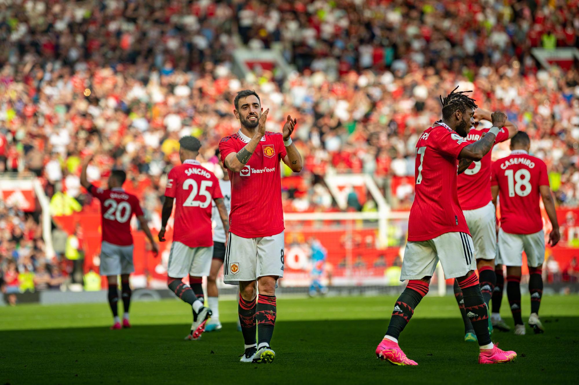 布朗尼在夏 布朗尼在夏